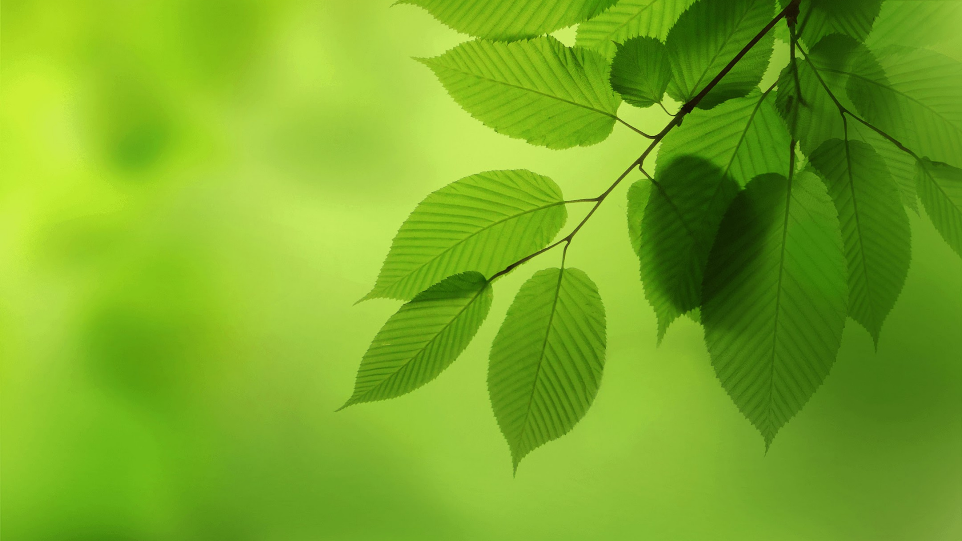 Huawei, Huawei Nova, Huawei Nova 2, Huawei Nova 2 Plus, Smartphone. Wallpaper in 1920x1080 Resolution