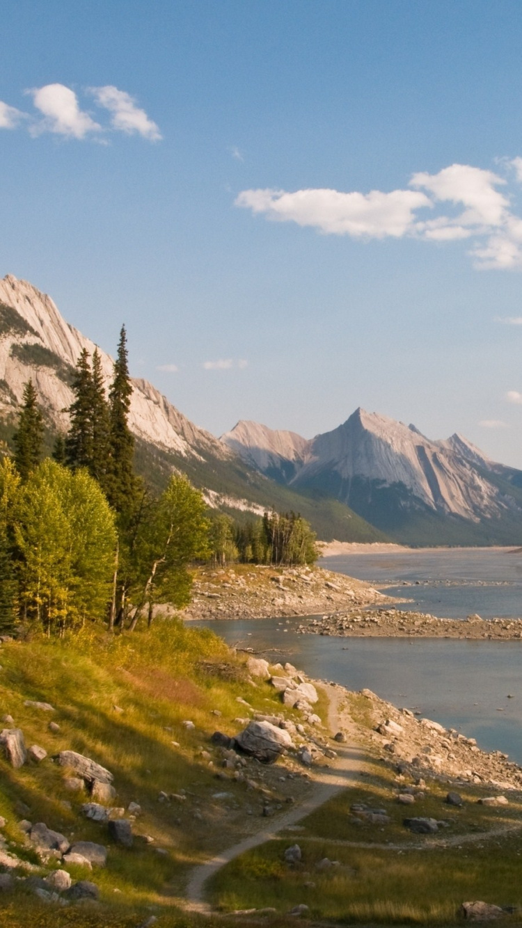 Green Trees Near Lake Under Blue Sky During Daytime. Wallpaper in 750x1334 Resolution