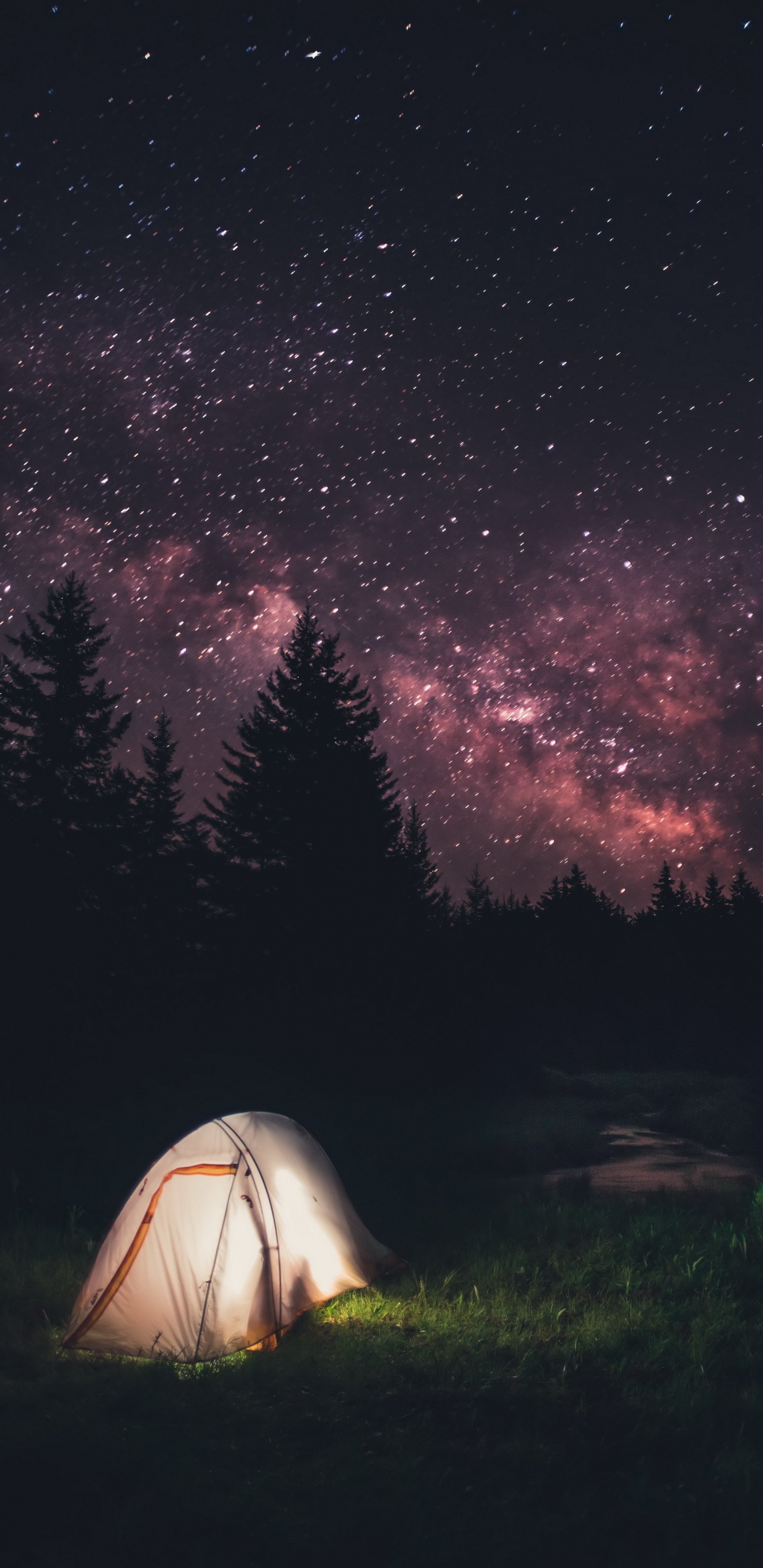 Tente Blanche Sous la Nuit Étoilée. Wallpaper in 1440x2960 Resolution
