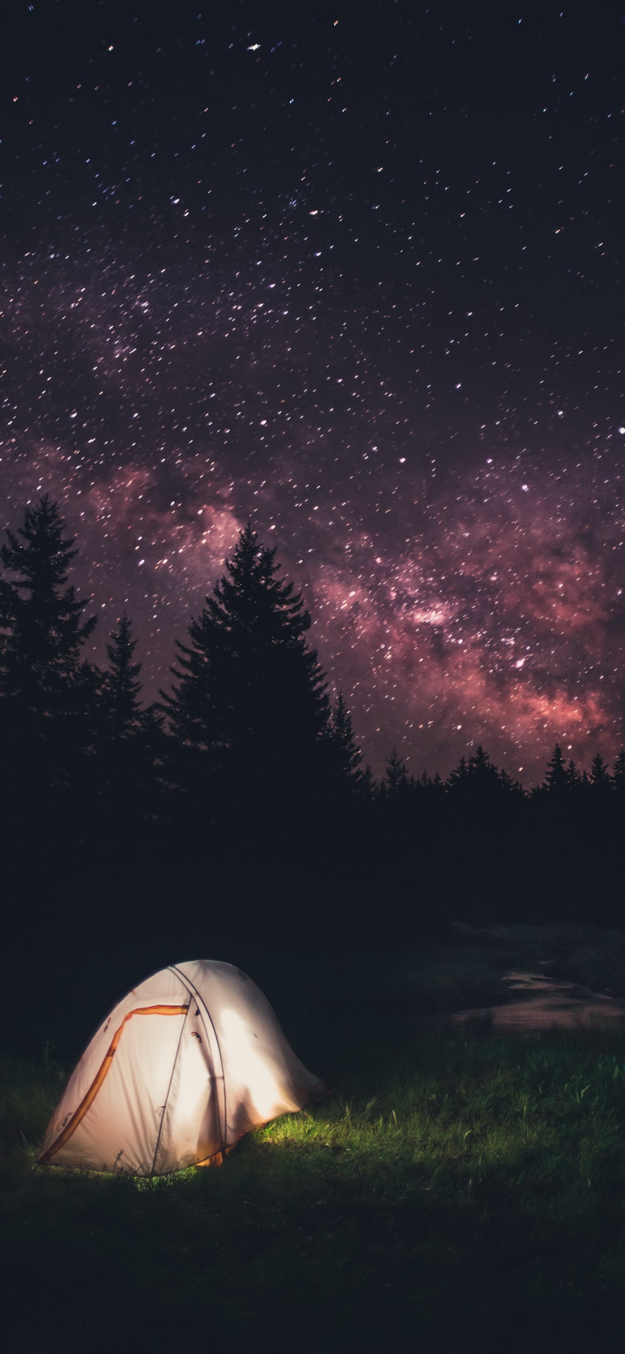 Carpa Blanca Bajo la Noche Estrellada. Wallpaper in 1242x2688 Resolution