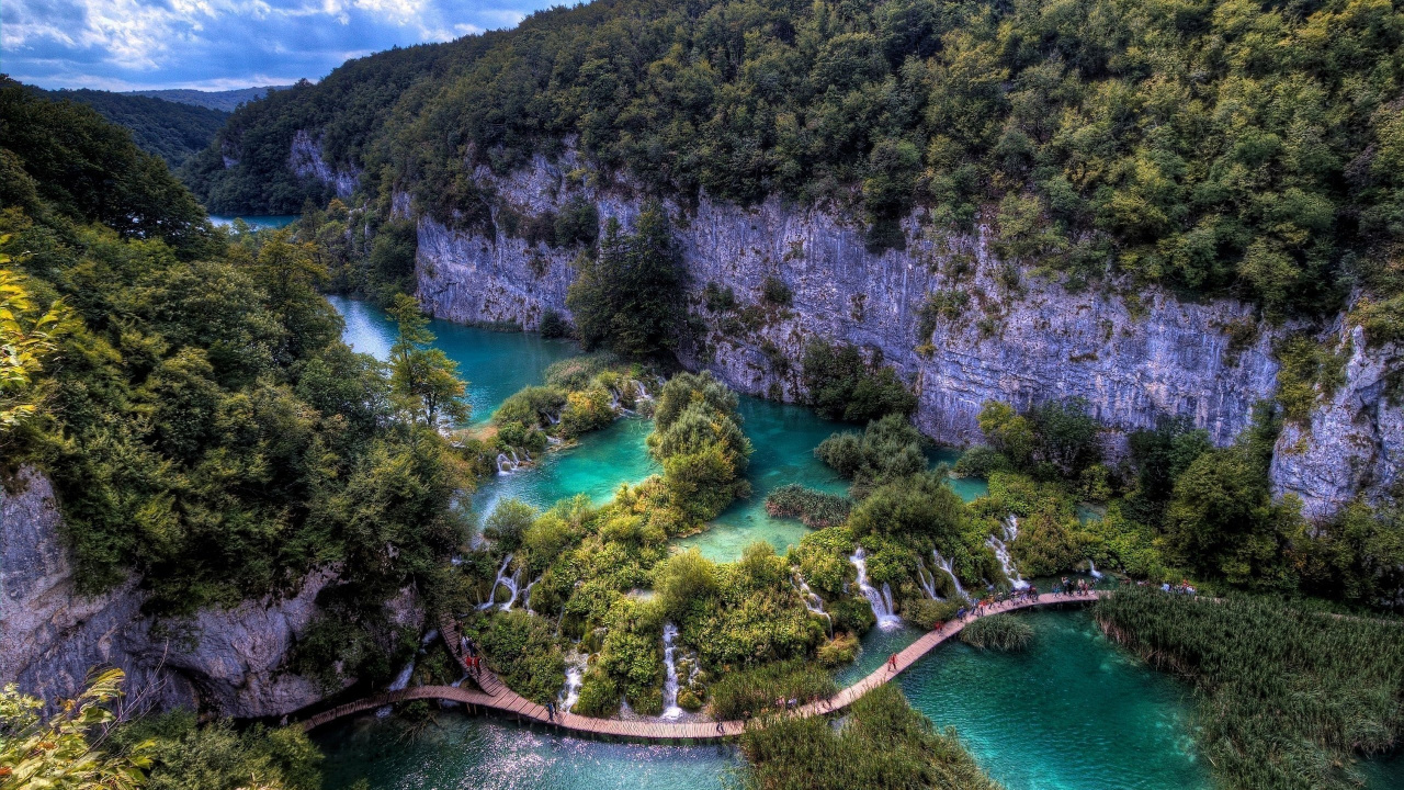 Green and Brown Trees Near Body of Water During Daytime. Wallpaper in 1280x720 Resolution