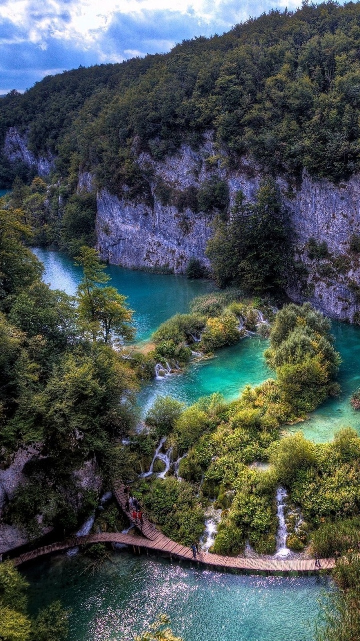 Green and Brown Trees Near Body of Water During Daytime. Wallpaper in 720x1280 Resolution