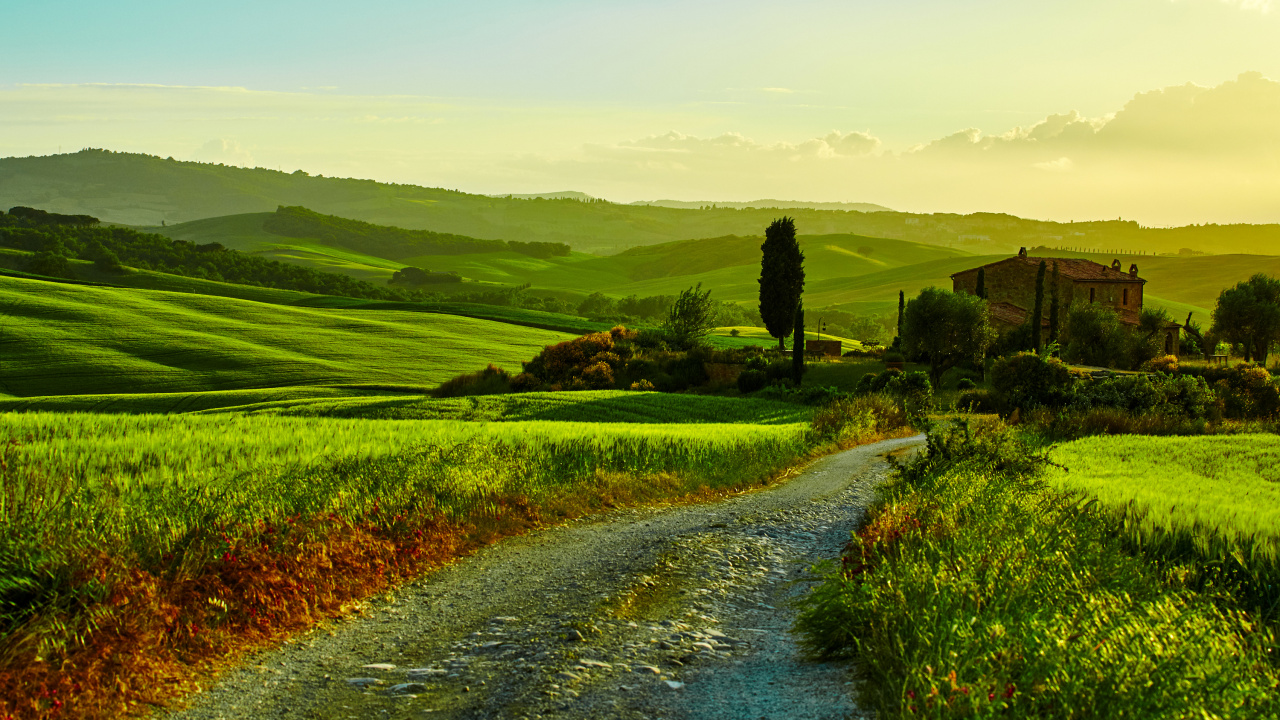 Tagsüber Grüne Wiese Und Bäume. Wallpaper in 1280x720 Resolution