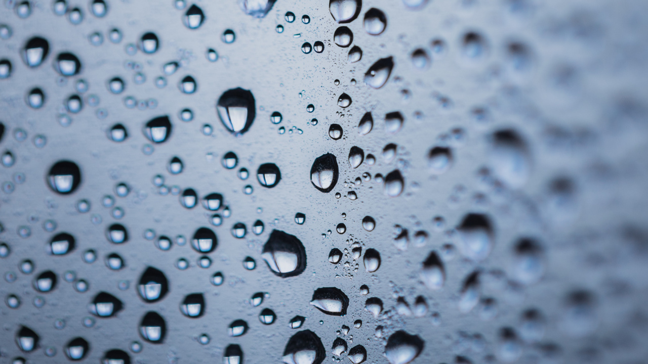 Tau, Wasser, Tropfen, Nieselregen, Feuchtigkeit. Wallpaper in 1280x720 Resolution