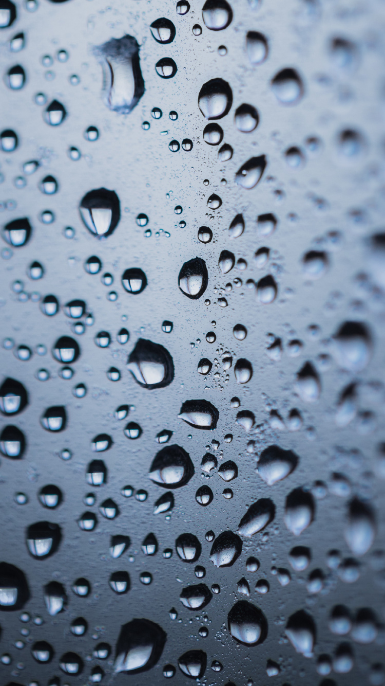 Tau, Wasser, Tropfen, Nieselregen, Feuchtigkeit. Wallpaper in 750x1334 Resolution