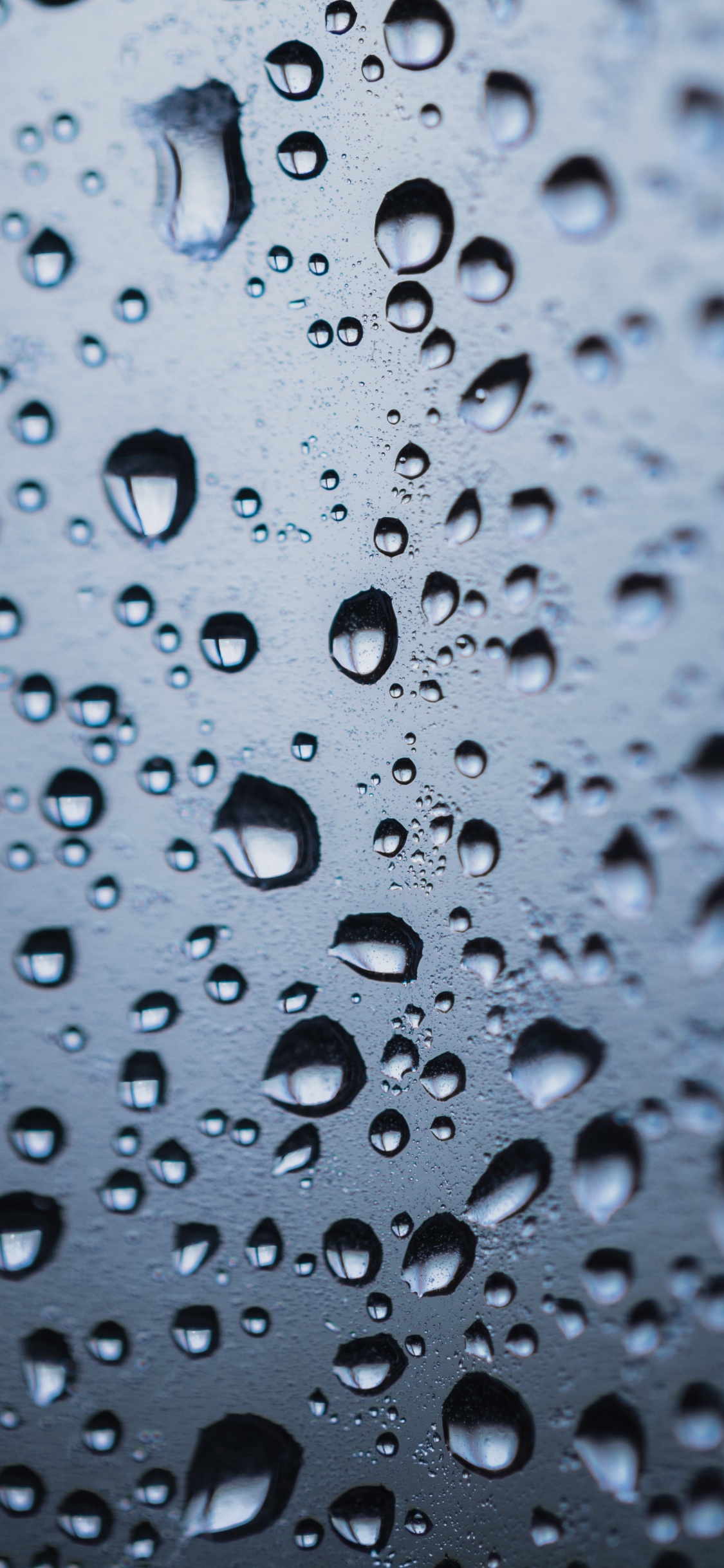 Rocío, Agua, Llovizna, Humedad, Precipitación. Wallpaper in 1125x2436 Resolution