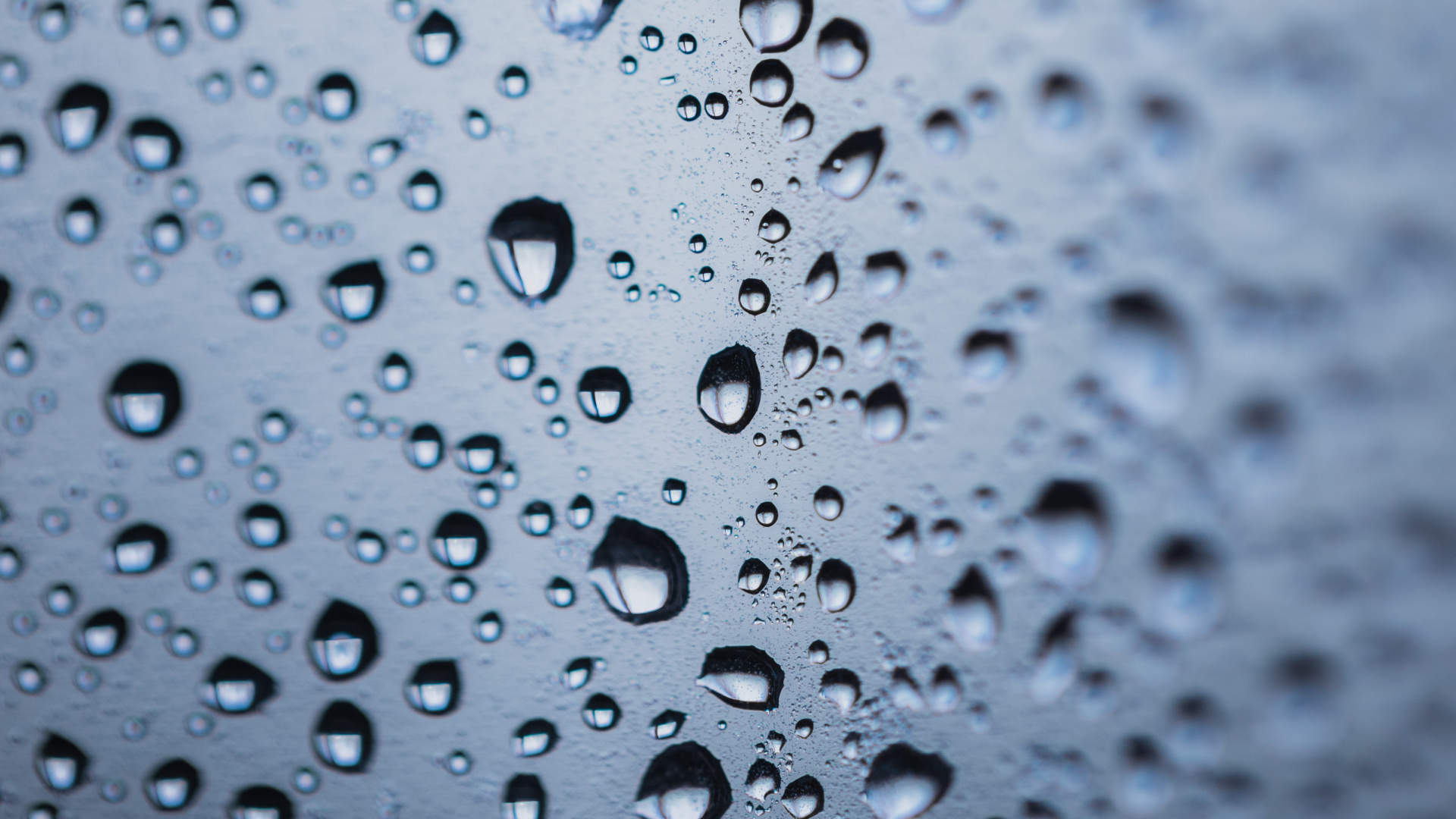 Rosée, Eau, Crachin, Humidité, Précipitations. Wallpaper in 1920x1080 Resolution