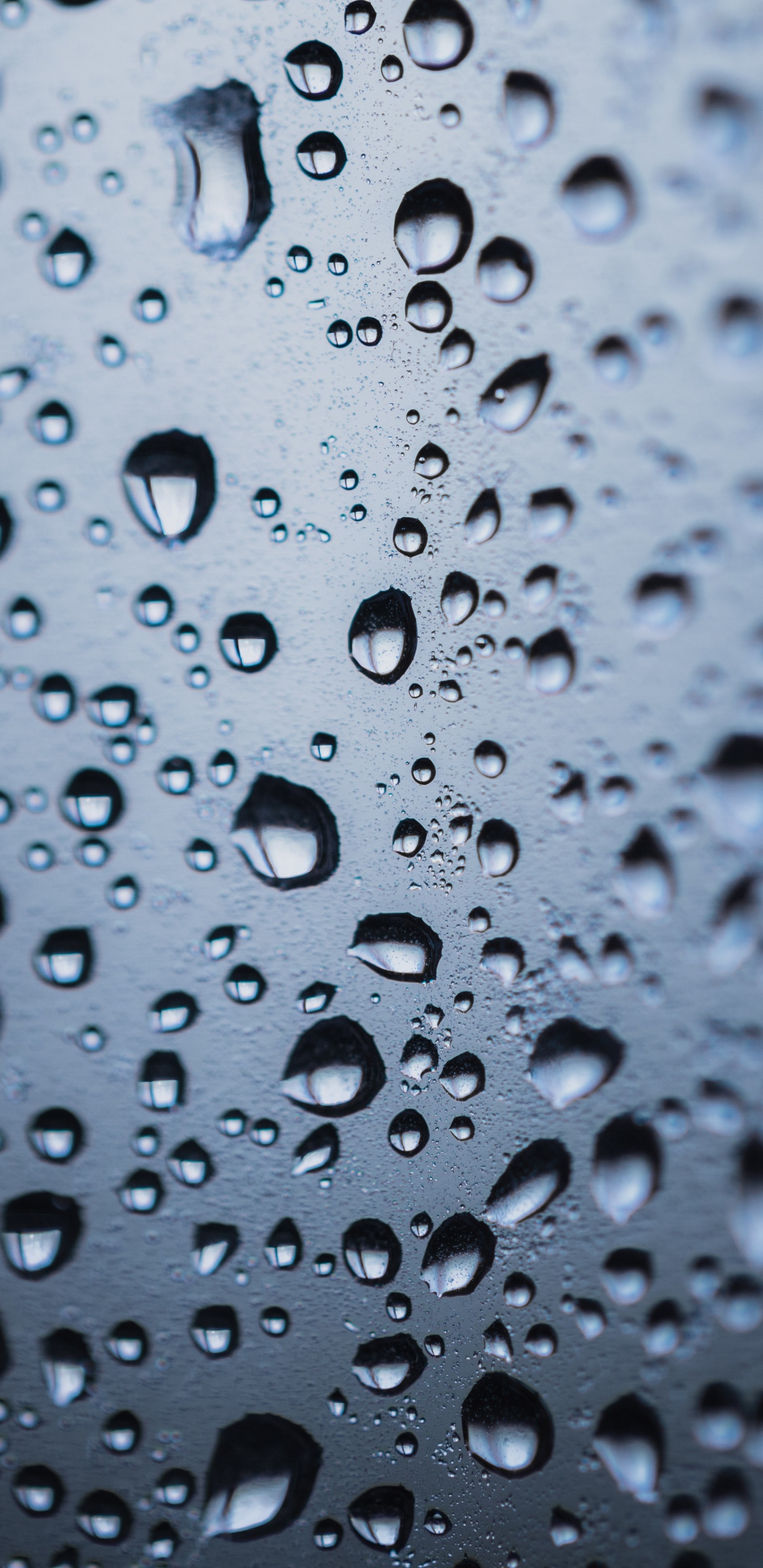 Dew, Water, Drop, Drizzle, Moisture. Wallpaper in 1440x2960 Resolution