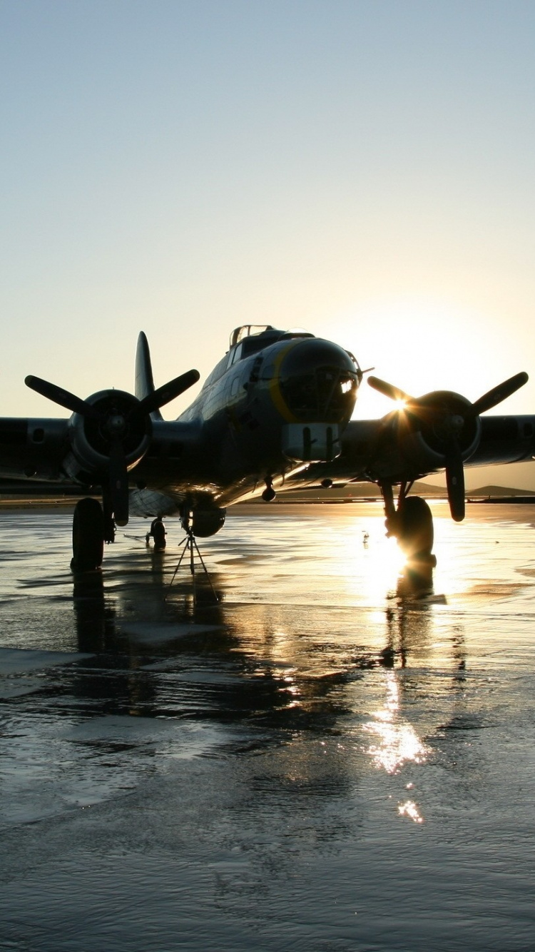 Avion de Chasse Noir Dans Les Airs Pendant la Journée. Wallpaper in 750x1334 Resolution