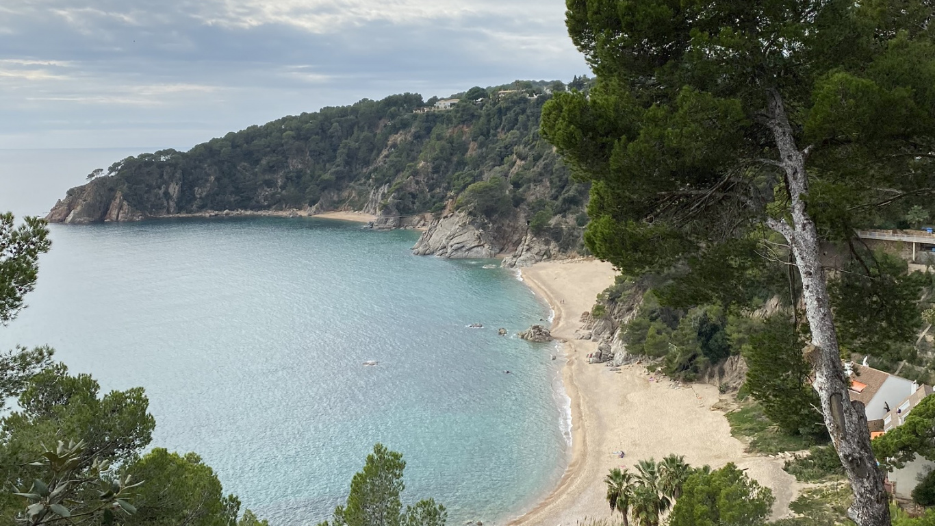 Coast, Body of Water, Water Resources, Tree, Shore. Wallpaper in 1366x768 Resolution