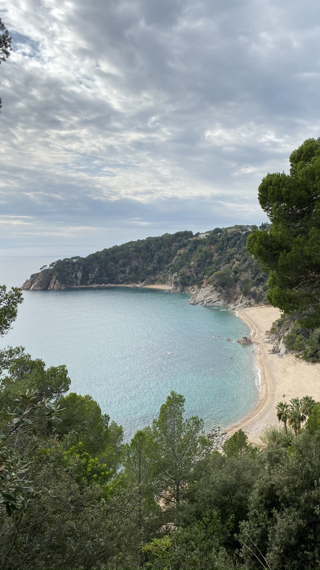 海岸, 人体内的水, 水资源, 岸边, 银行 壁纸 1080x1920 允许