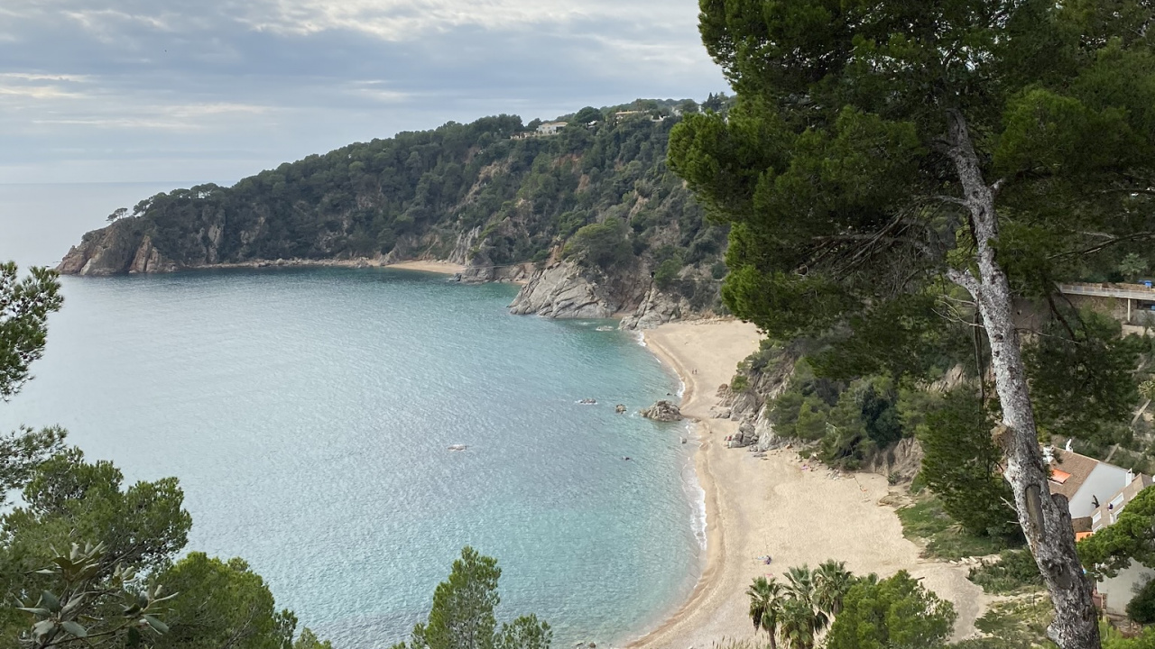 海岸, 人体内的水, 水资源, 岸边, 银行 壁纸 1280x720 允许
