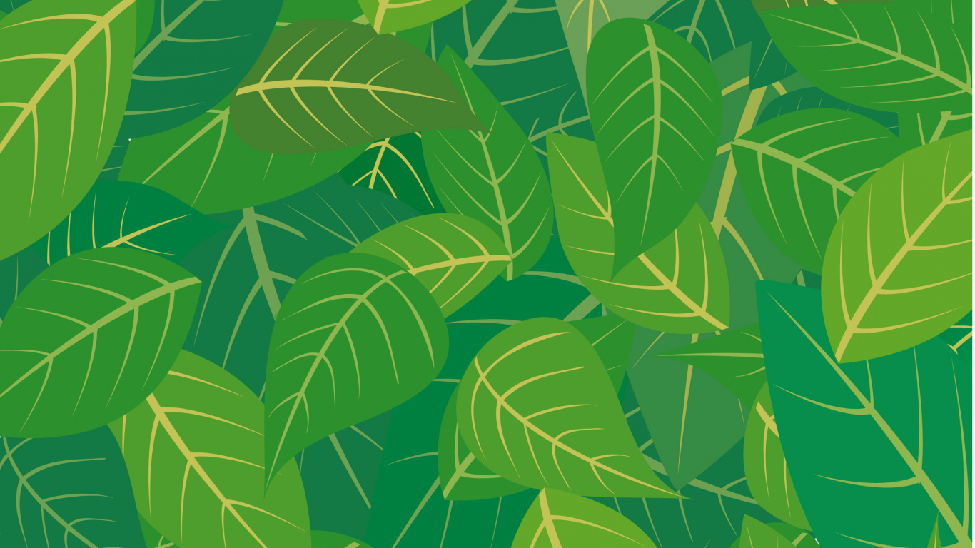 Plante à Feuilles Vertes et Jaunes. Wallpaper in 1366x768 Resolution