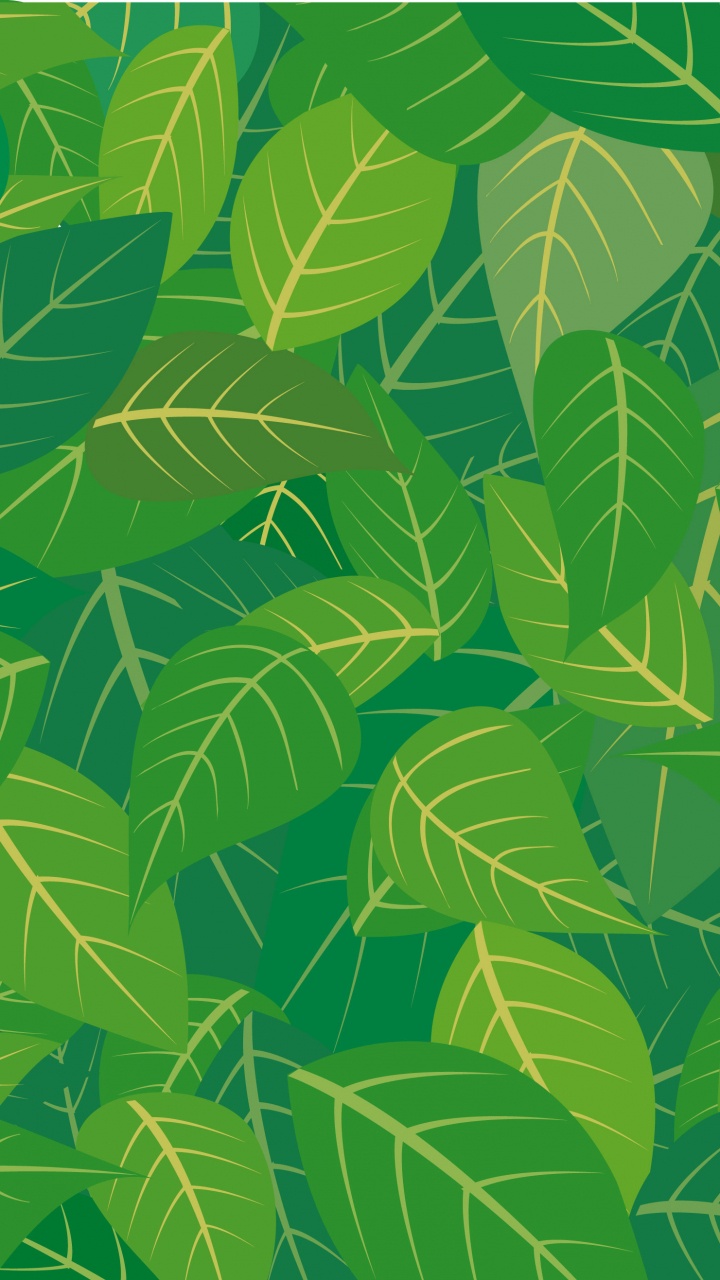 Plante à Feuilles Vertes et Jaunes. Wallpaper in 720x1280 Resolution