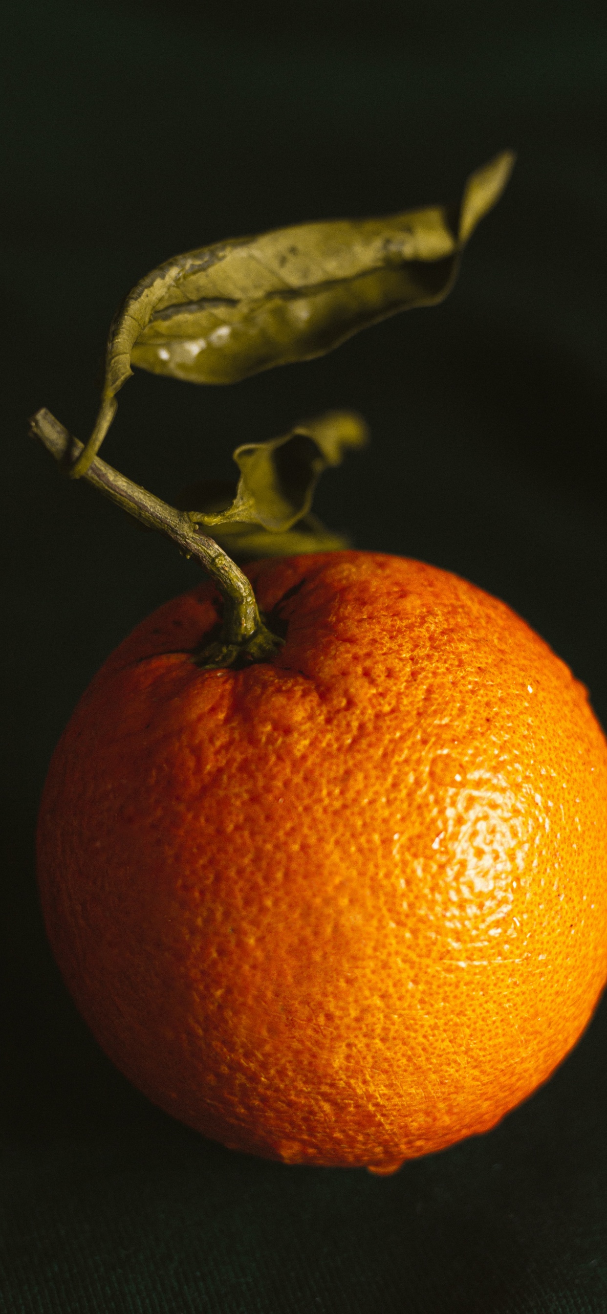 Clémentine, Jus D'orange, Fruits, Aliment, Orange de Valence. Wallpaper in 1242x2688 Resolution