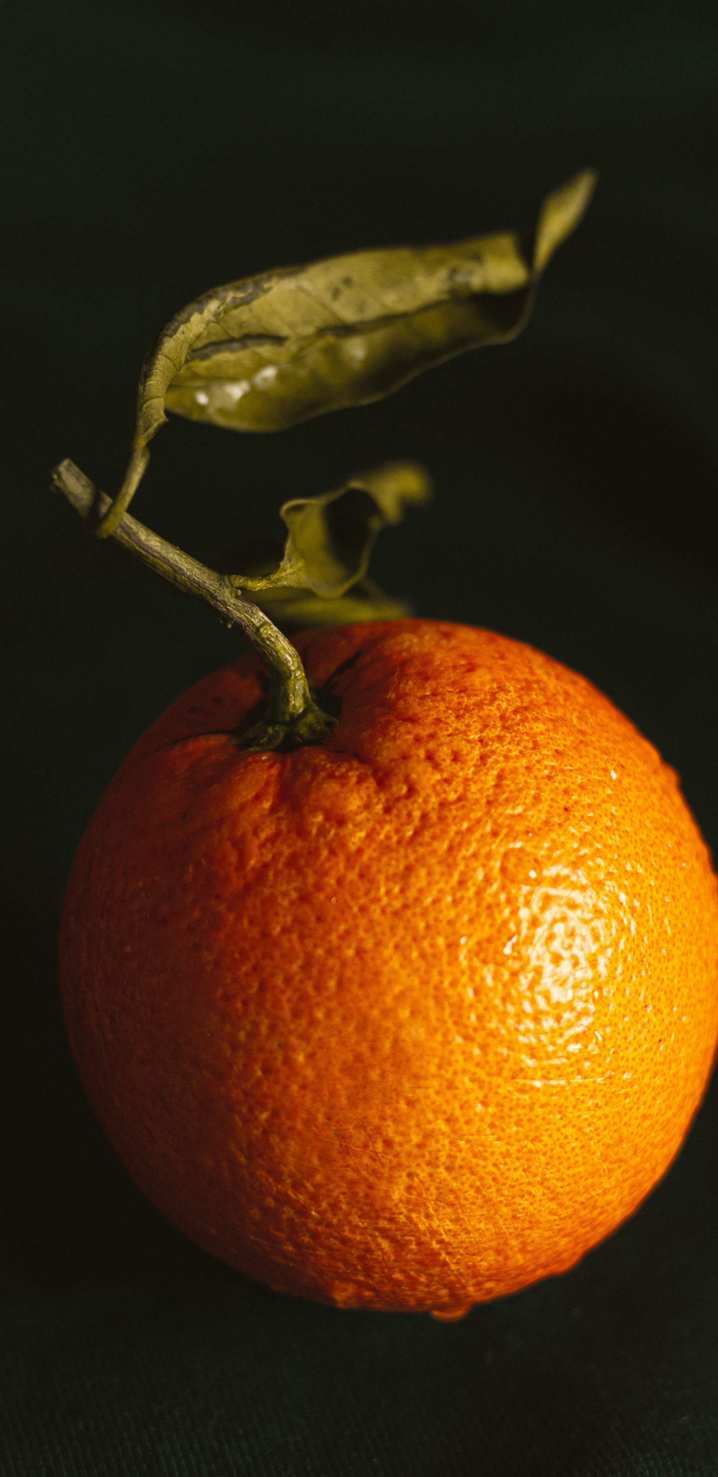 Clementine, Orangensaft, Lebensmittel, Valencia Orange, Orange. Wallpaper in 1440x2960 Resolution