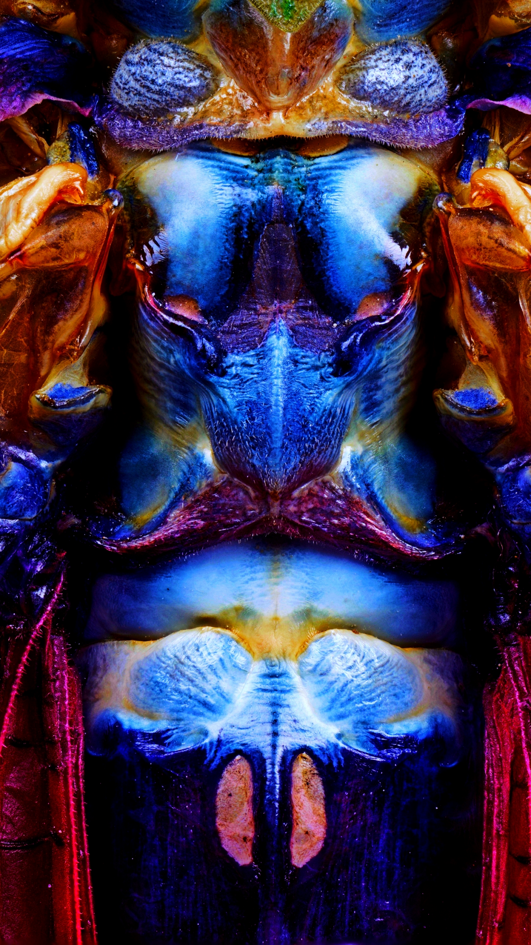 Effets Spéciaux, Blue, Purple, la Pureté de la Couleur, Orange. Wallpaper in 1080x1920 Resolution