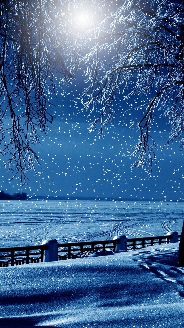 Silhouette Von Bäumen in Der Nähe Von Gewässern Tagsüber. Wallpaper in 720x1280 Resolution