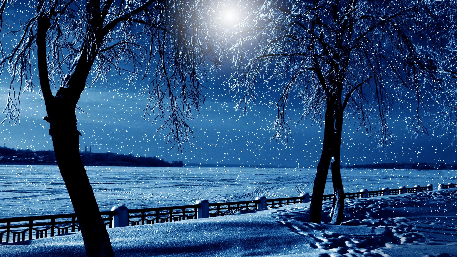 Silhouette of Trees Near Body of Water During Daytime. Wallpaper in 1920x1080 Resolution