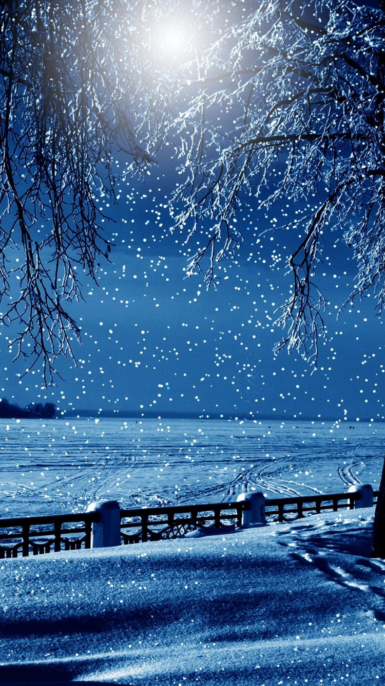 Silhouette D'arbres Près D'un Plan D'eau Pendant la Journée. Wallpaper in 750x1334 Resolution