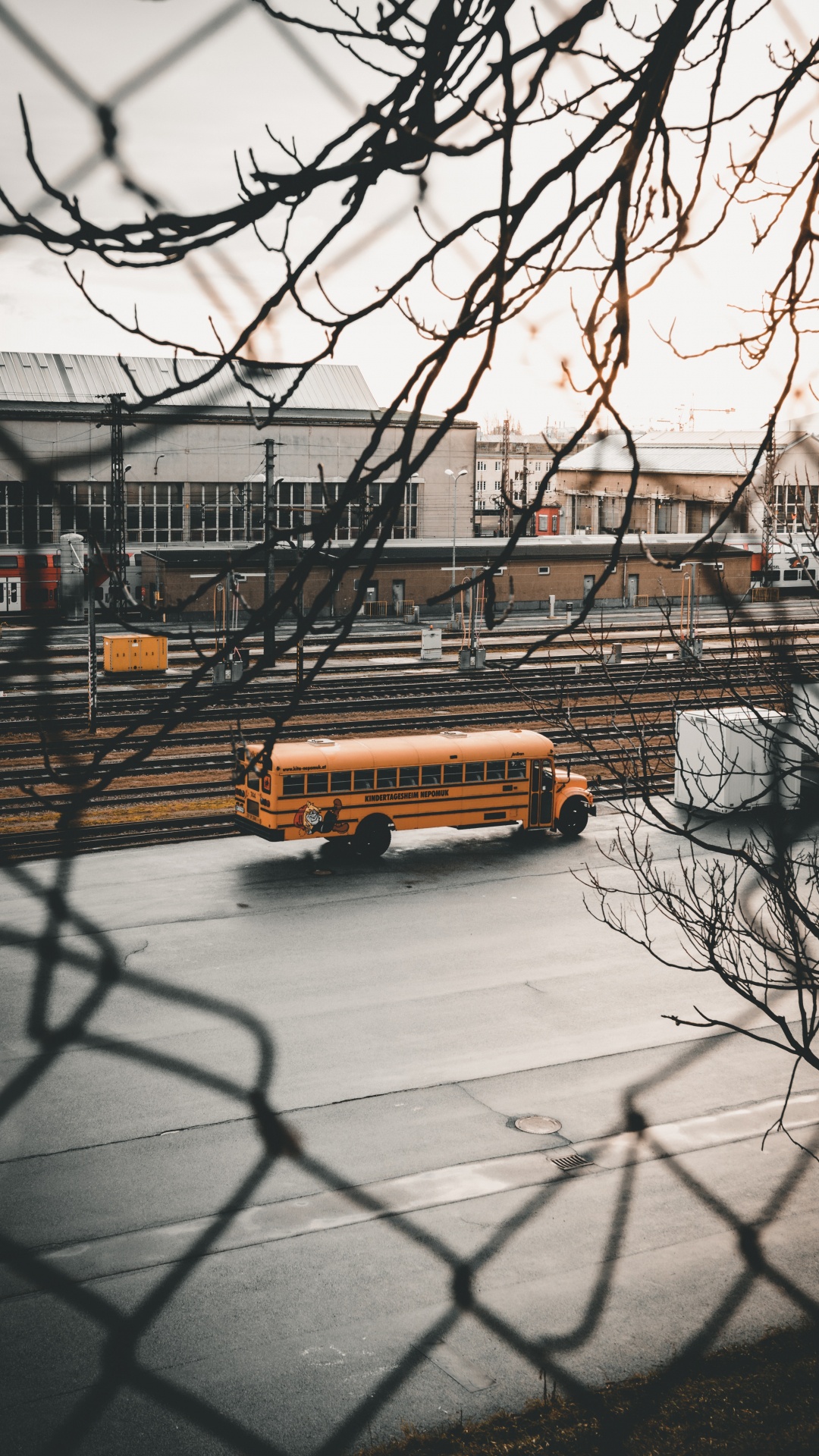 Gelber Bus Auf Der Straße in Der Nähe Von Kahlen Bäumen Tagsüber. Wallpaper in 1080x1920 Resolution