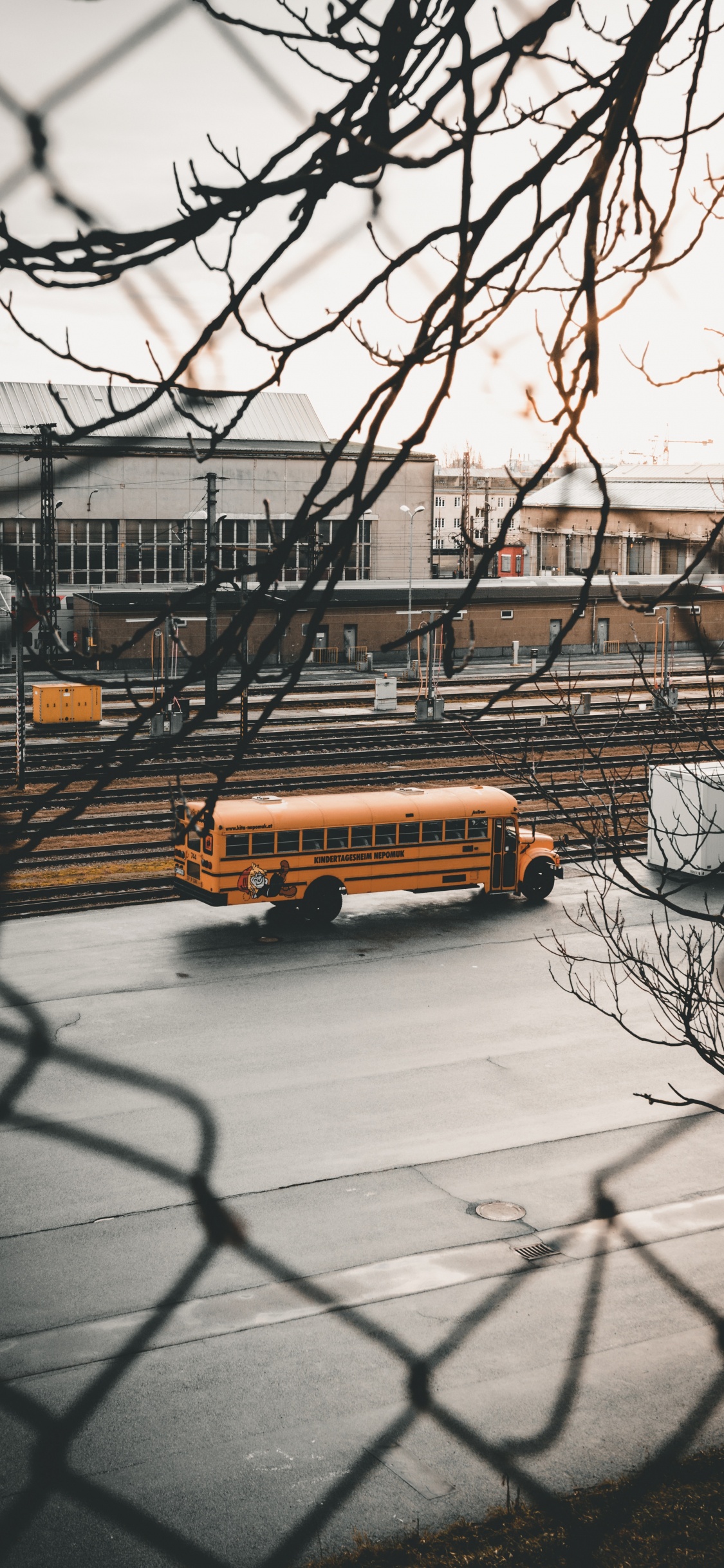 Gelber Bus Auf Der Straße in Der Nähe Von Kahlen Bäumen Tagsüber. Wallpaper in 1125x2436 Resolution