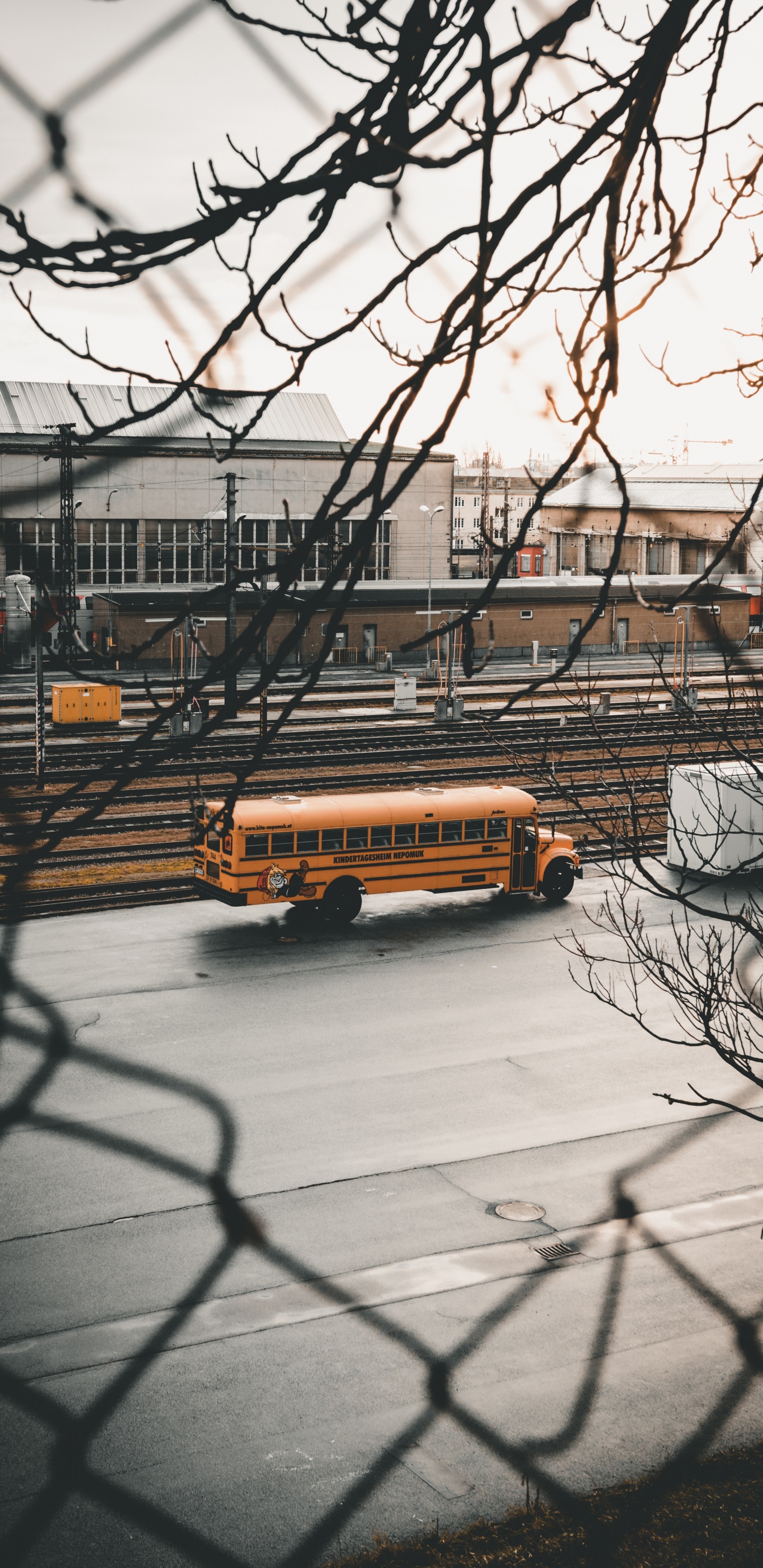 巴士, 冬天, 建筑, 冻结, 用户 壁纸 1440x2960 允许