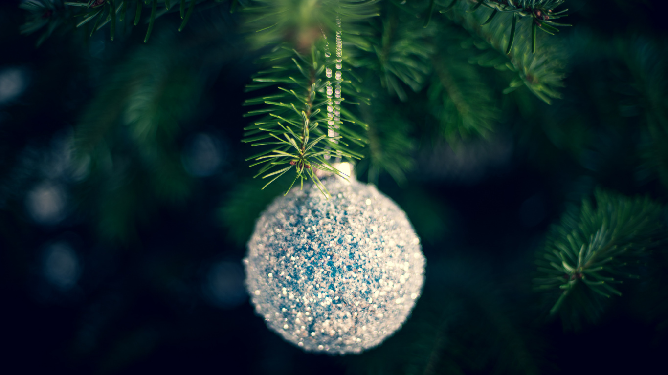 El Día De Navidad, Adorno de Navidad, Verde, en Pino Oregón, Navidad. Wallpaper in 1366x768 Resolution