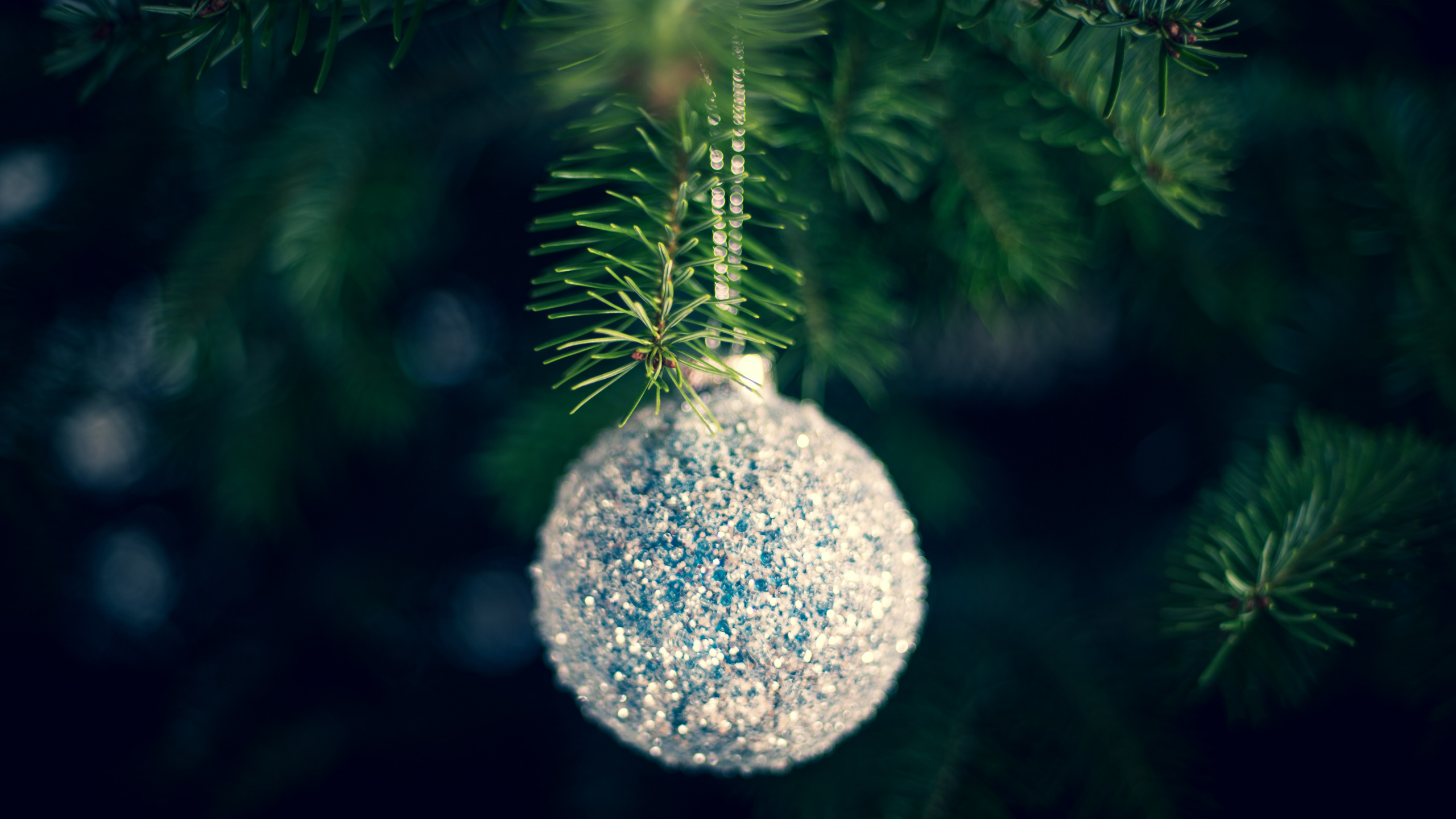 Le Jour De Noël, Arbre de Noël, Ornement de Noël, Green, Pin D'oregon. Wallpaper in 2560x1440 Resolution