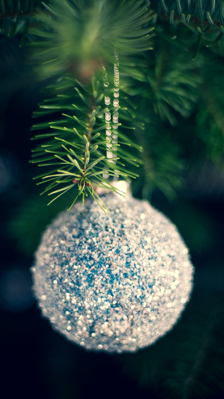 Le Jour De Noël, Arbre de Noël, Ornement de Noël, Green, Pin D'oregon. Wallpaper in 720x1280 Resolution