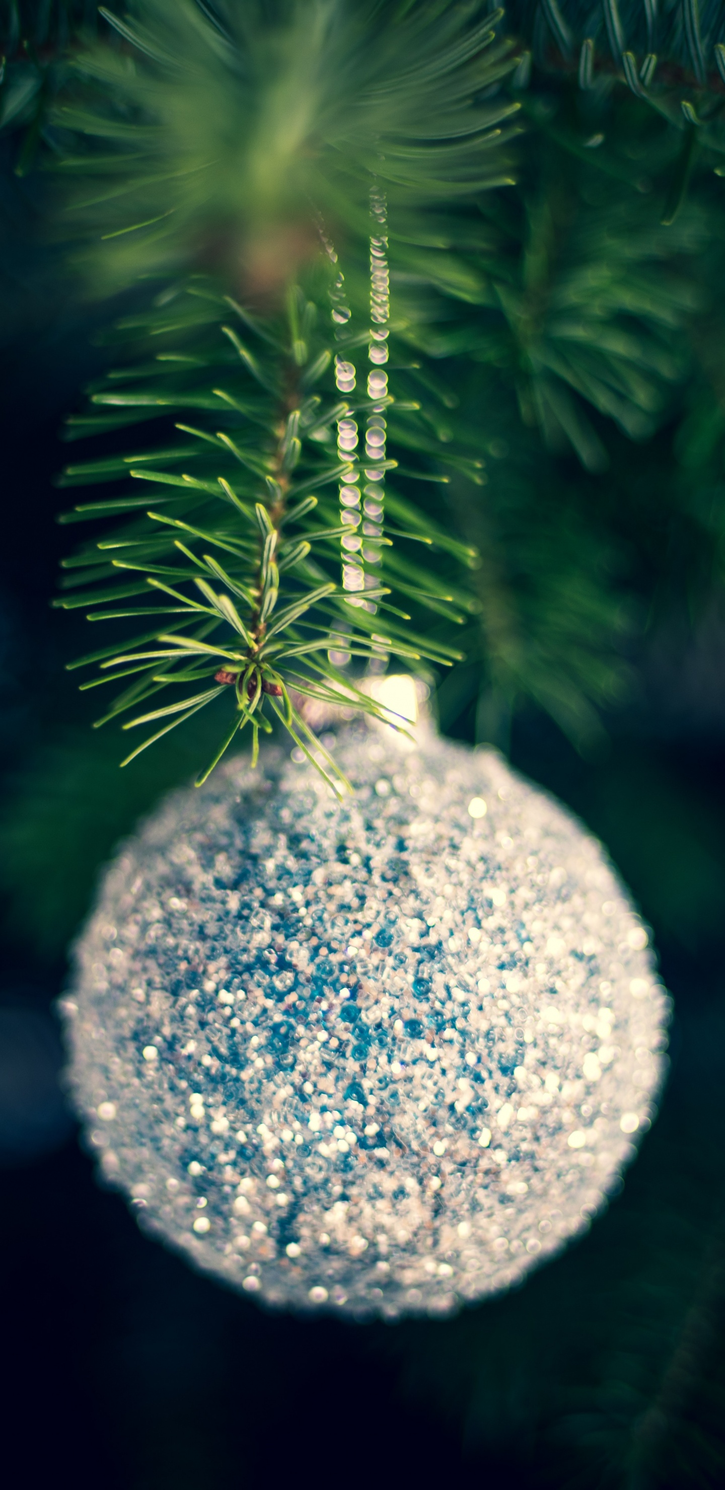 Weihnachten, Weihnachtsbaum, Christmas Ornament, Baum, Gr. Wallpaper in 1440x2960 Resolution