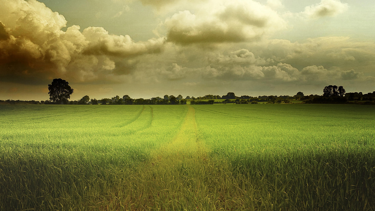 Tagsüber Grüne Wiese Unter Bewölktem Himmel. Wallpaper in 1280x720 Resolution