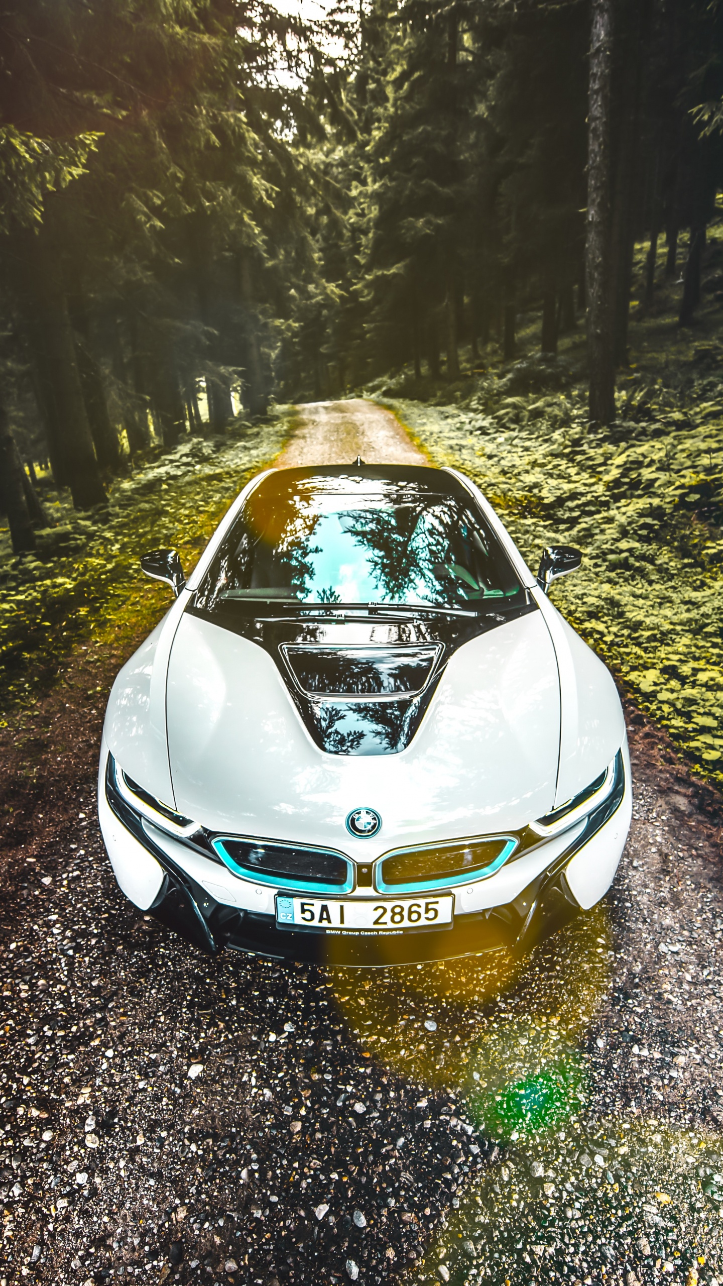 Blaues Auto Auf Der Straße Zwischen Bäumen Tagsüber. Wallpaper in 1440x2560 Resolution