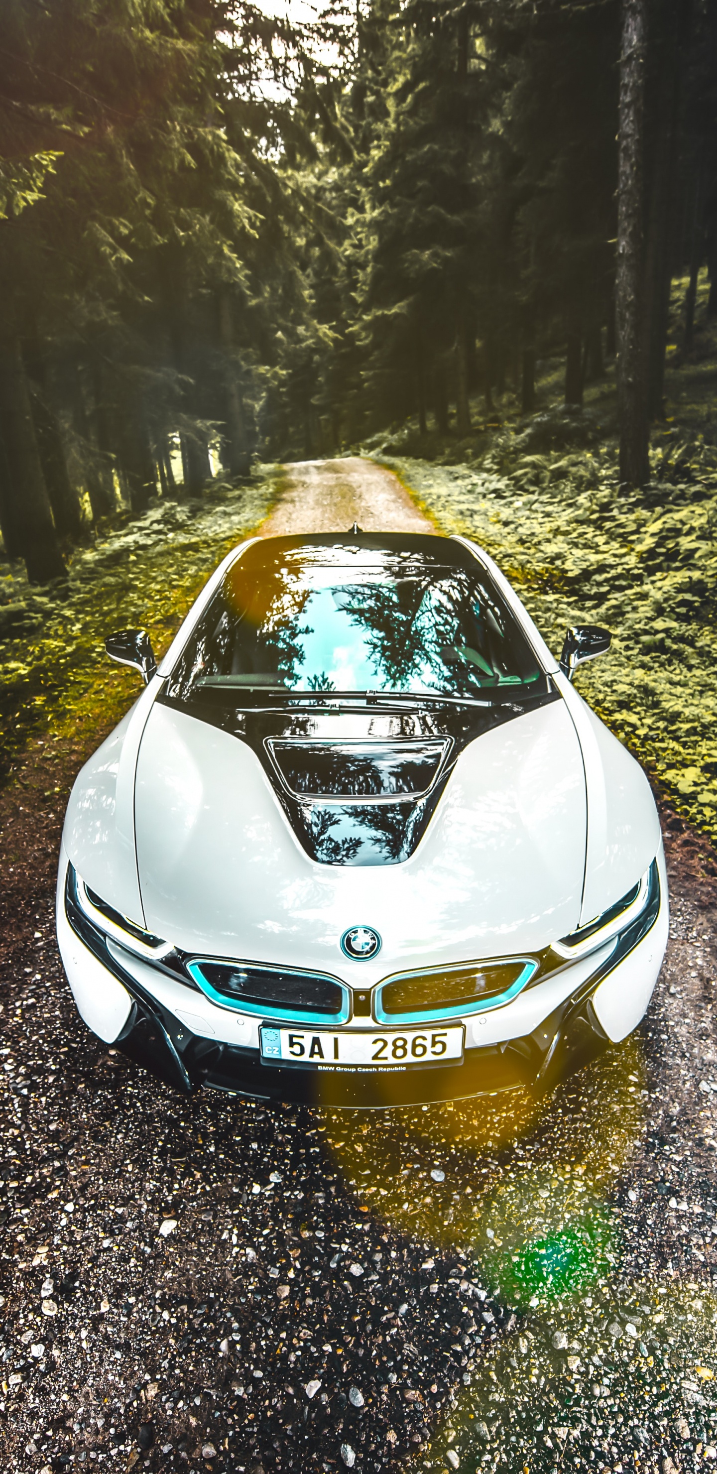 Blaues Auto Auf Der Straße Zwischen Bäumen Tagsüber. Wallpaper in 1440x2960 Resolution