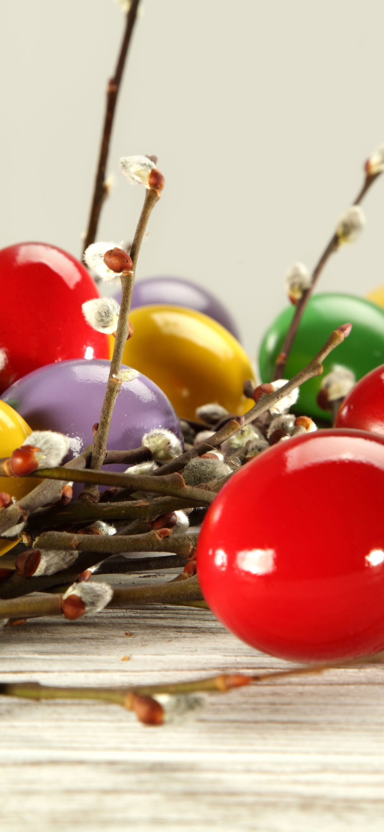 Easter Egg, Food, Fruit, Easter, Catkin. Wallpaper in 1242x2688 Resolution