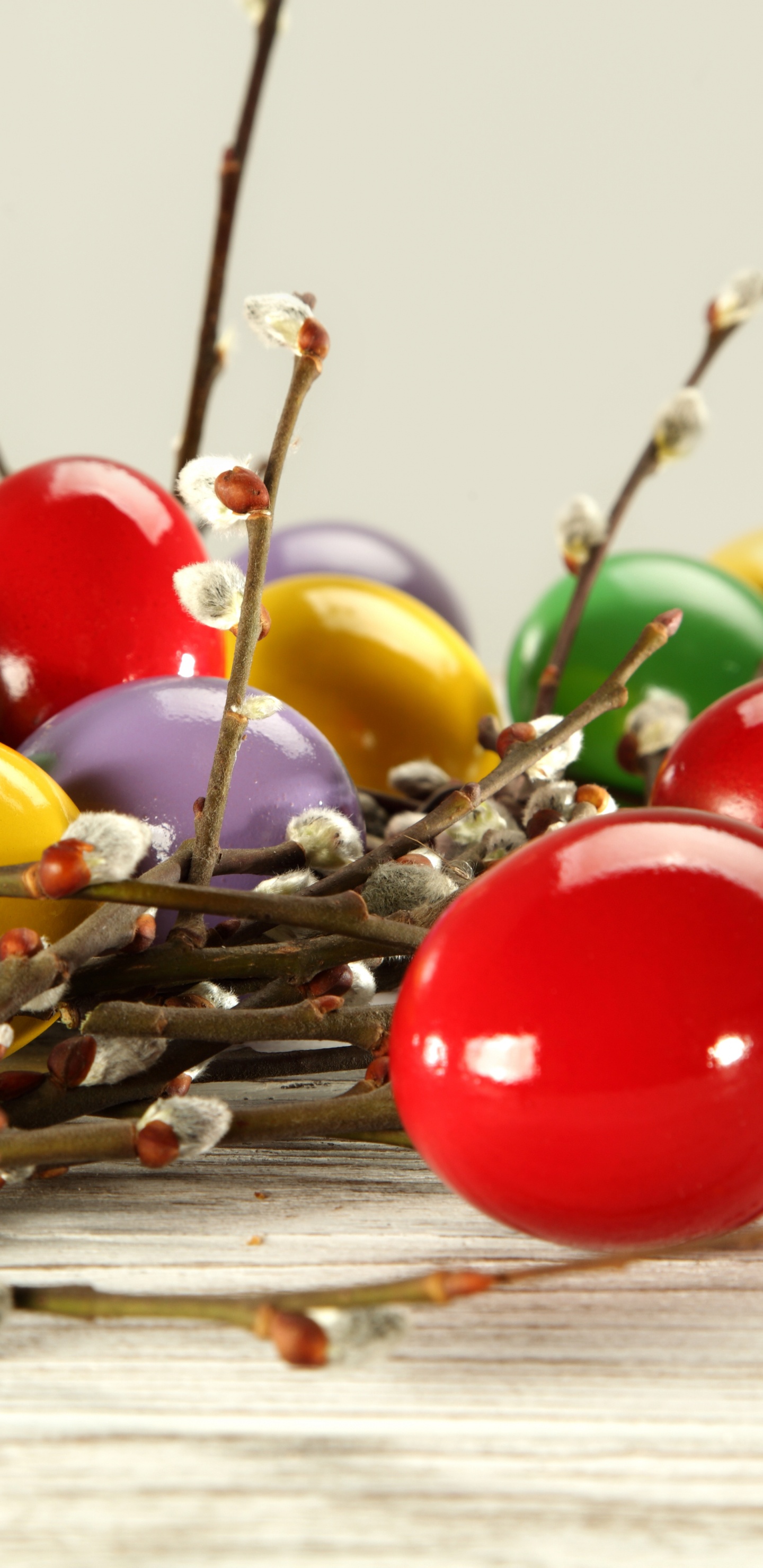 Easter Egg, Food, Fruit, Easter, Catkin. Wallpaper in 1440x2960 Resolution