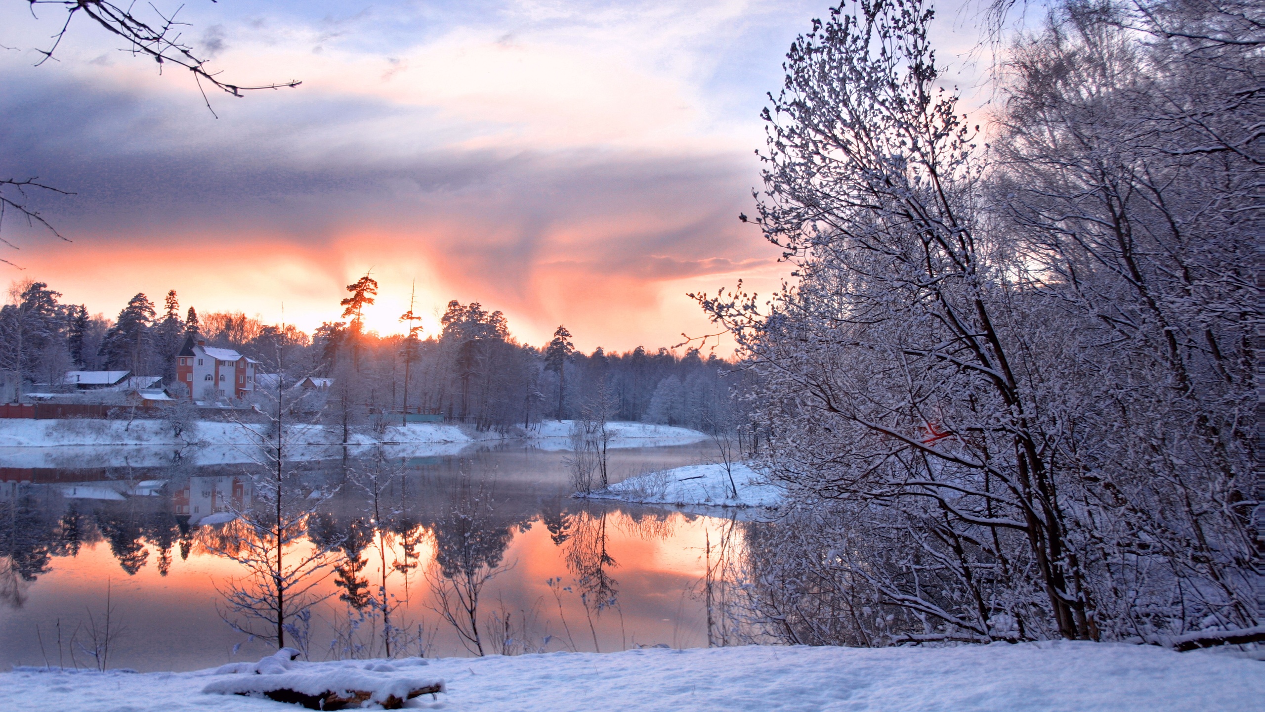 Snow Covered Trees and Field During Sunset. Wallpaper in 2560x1440 Resolution