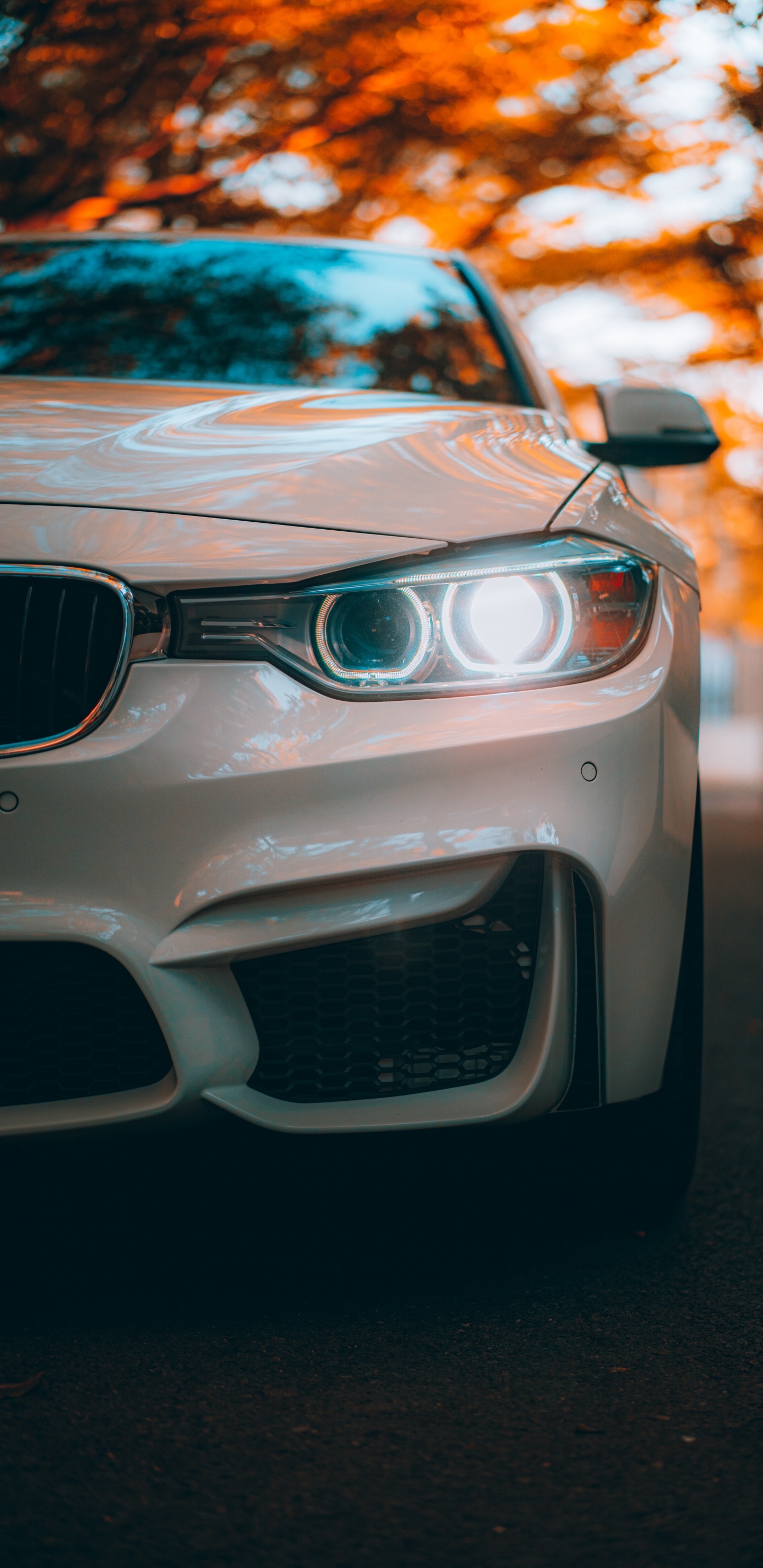 BMW, Deportivo, Coche, Bmw M3, Bayerische Motoren Werke AG. Wallpaper in 1440x2960 Resolution