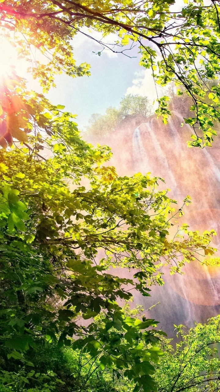 Arbre Vert Près de la Montagne Brune Pendant la Journée. Wallpaper in 720x1280 Resolution