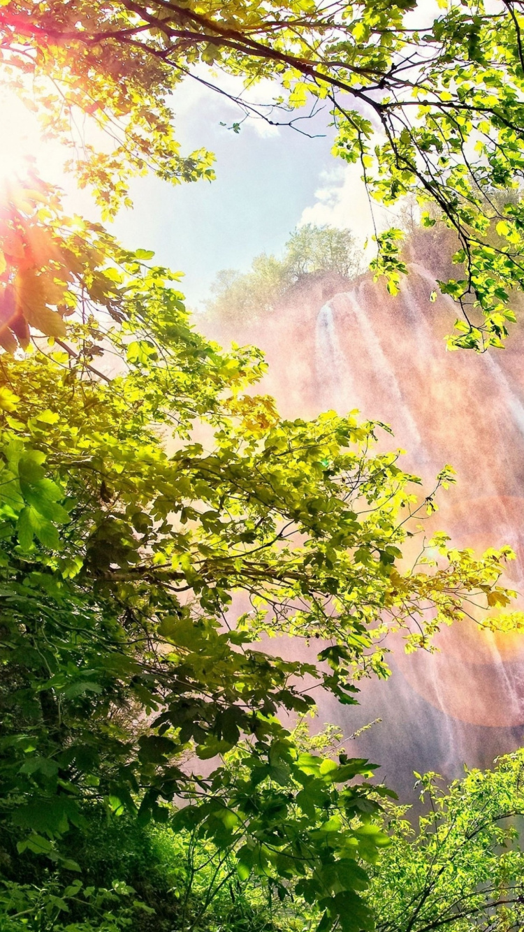 Green Tree Near Brown Mountain During Daytime. Wallpaper in 750x1334 Resolution