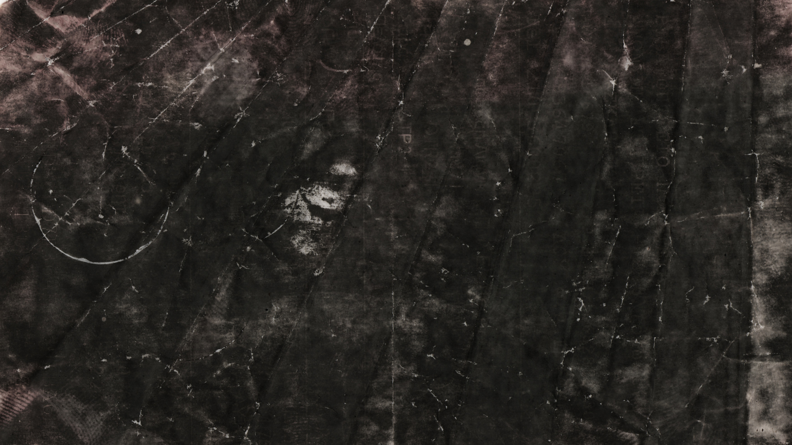 Tronc D'arbre Marron et Blanc. Wallpaper in 2560x1440 Resolution