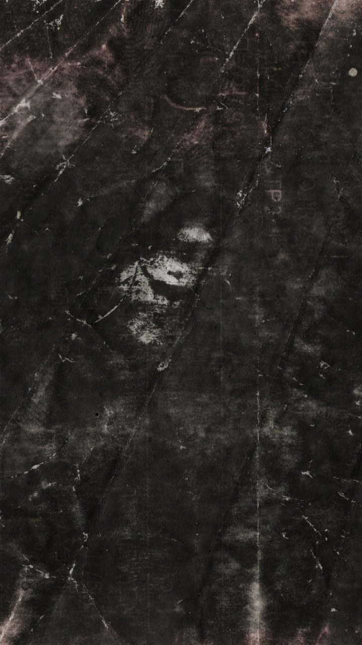 Tronc D'arbre Marron et Blanc. Wallpaper in 720x1280 Resolution