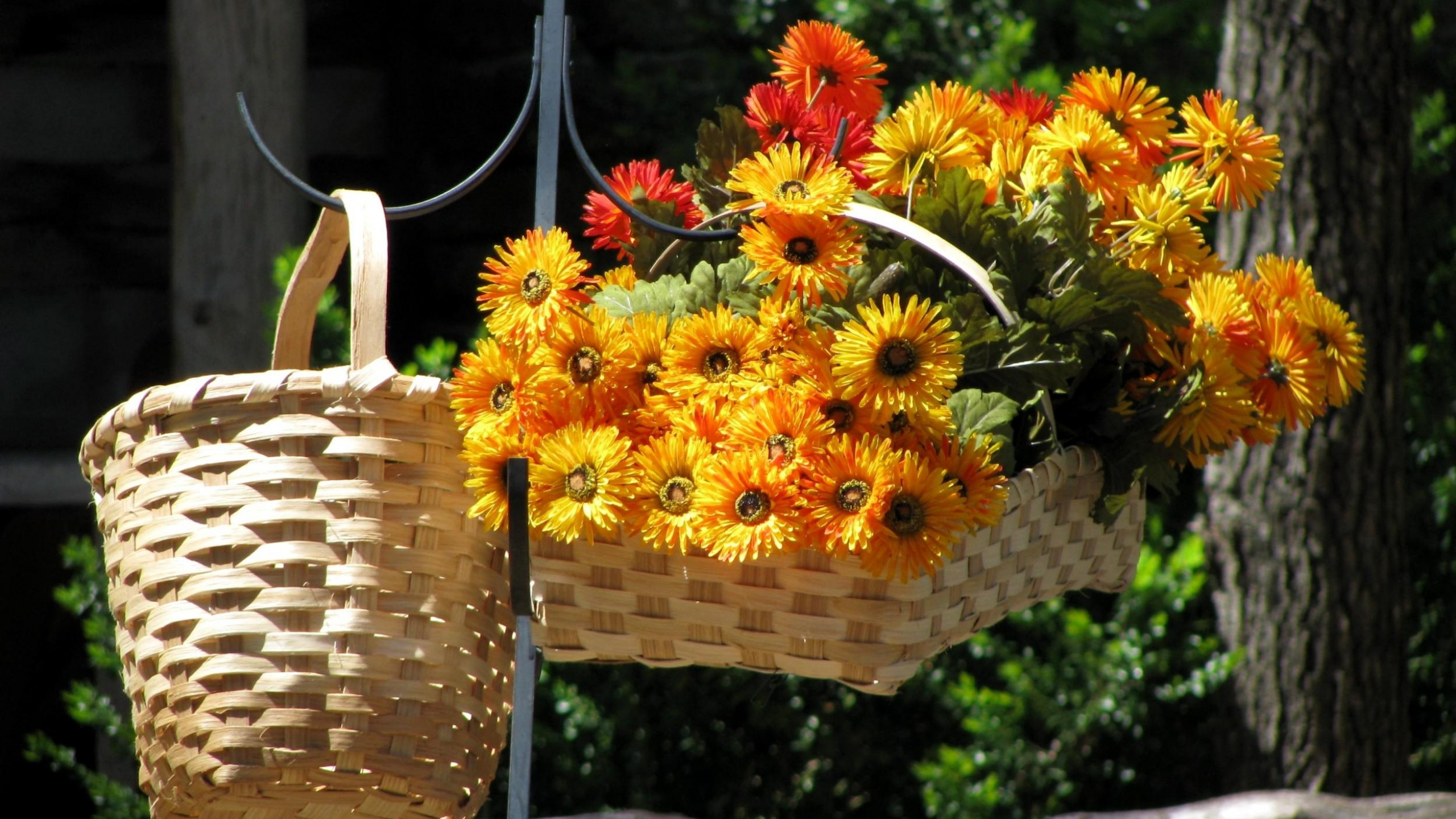 Gelbe Und Rote Blumen Auf Braunem Geflochtenem Korb. Wallpaper in 2560x1440 Resolution