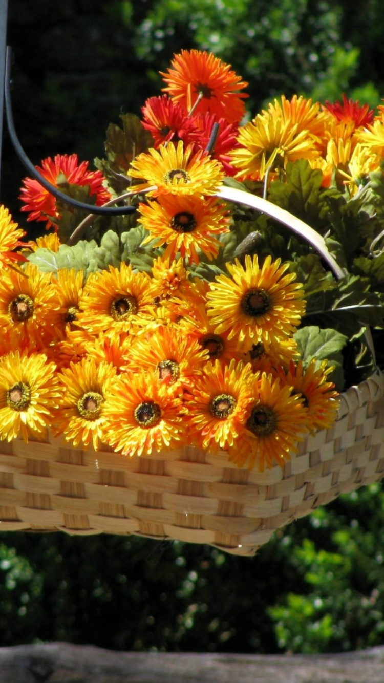 Yellow and Red Flowers on Brown Woven Basket. Wallpaper in 750x1334 Resolution