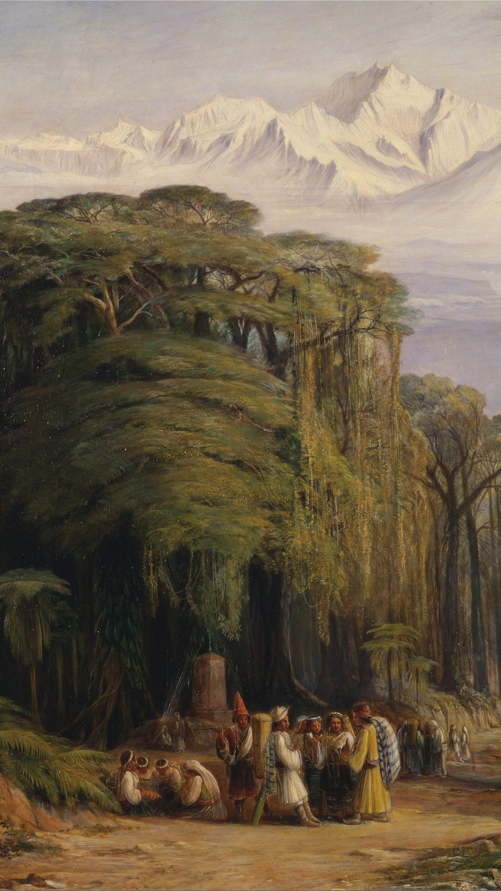 Horses on Green Grass Field Near Mountain During Daytime. Wallpaper in 720x1280 Resolution