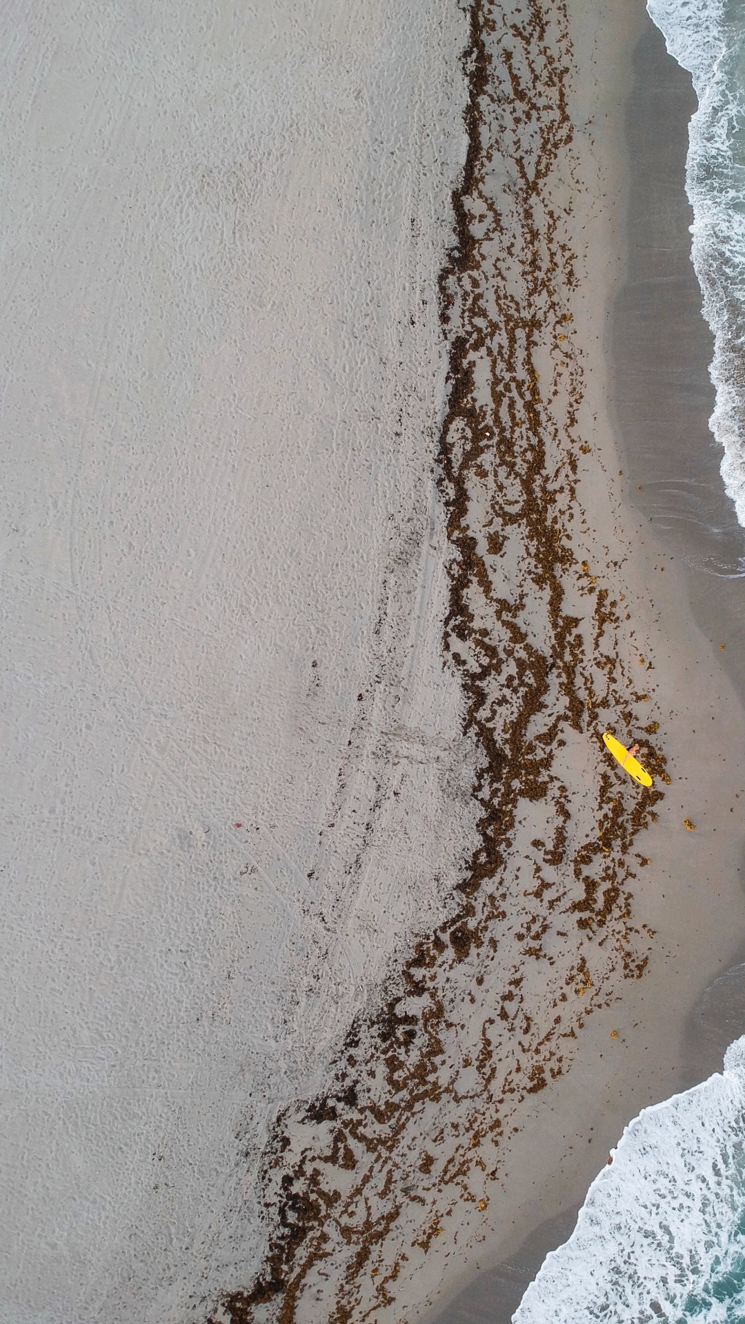 Aerial View of Beach During Daytime. Wallpaper in 1080x1920 Resolution
