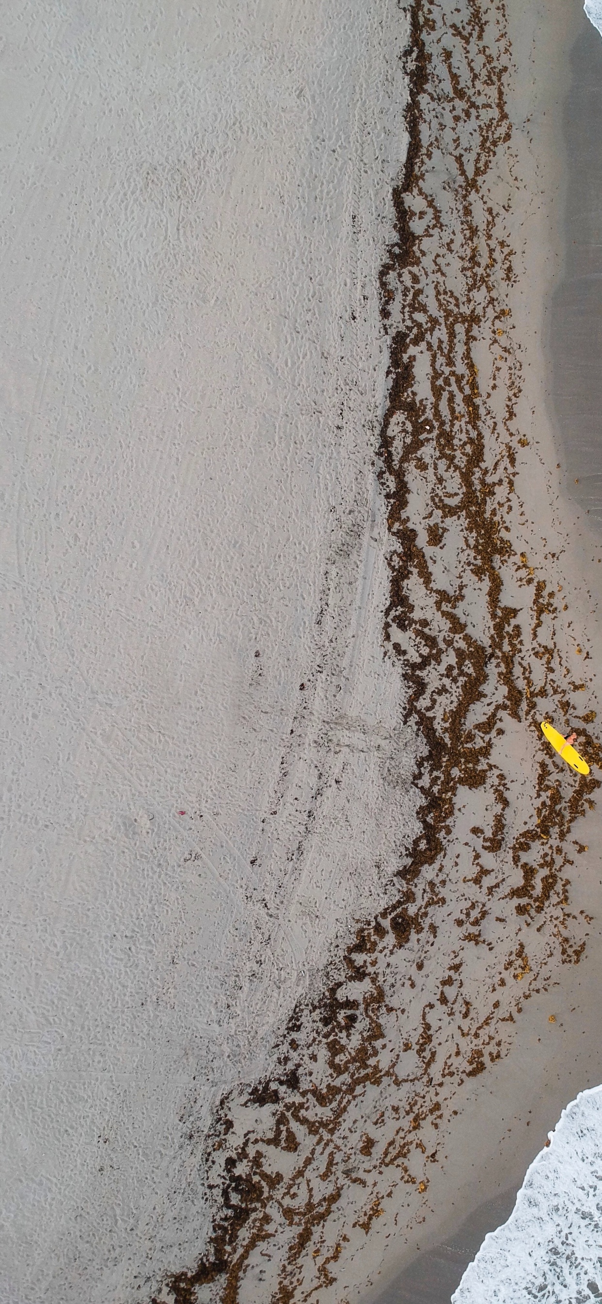 Aerial View of Beach During Daytime. Wallpaper in 1242x2688 Resolution