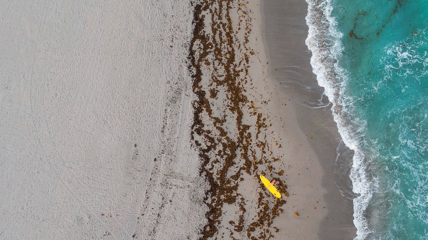 Aerial View of Beach During Daytime. Wallpaper in 1366x768 Resolution