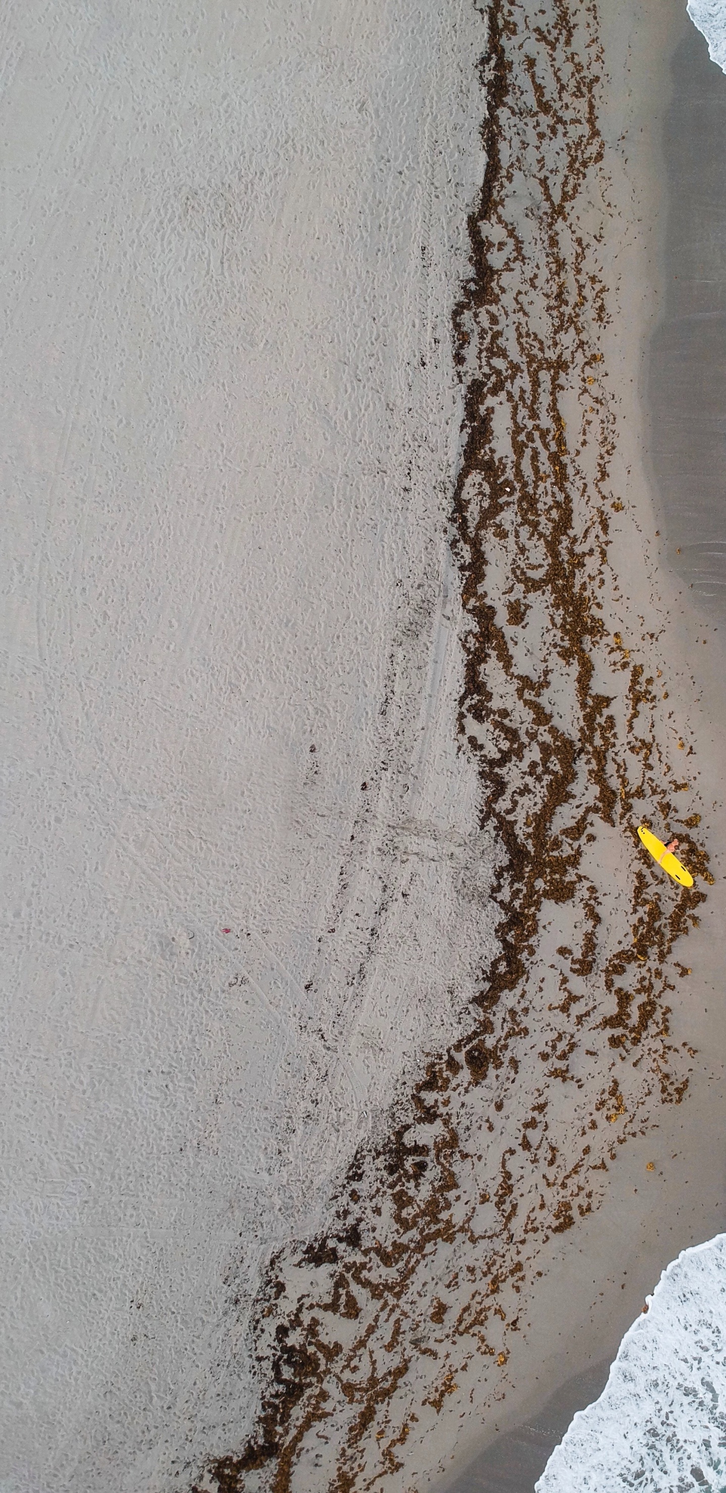 Aerial View of Beach During Daytime. Wallpaper in 1440x2960 Resolution