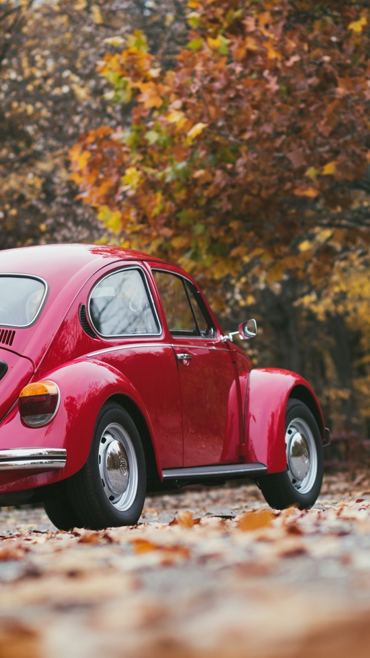 Roter Volkswagen Käfer Tagsüber Unterwegs. Wallpaper in 720x1280 Resolution